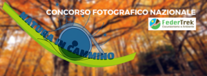 Copy of CONCORSO FOTOGRAFICO (2)