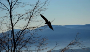 Foto di Egidio Cataldi