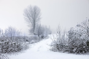 cold-snow-road-landscape