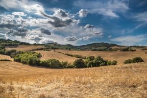 paesaggio rurale